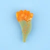 New Barrette Calendula Barrettes