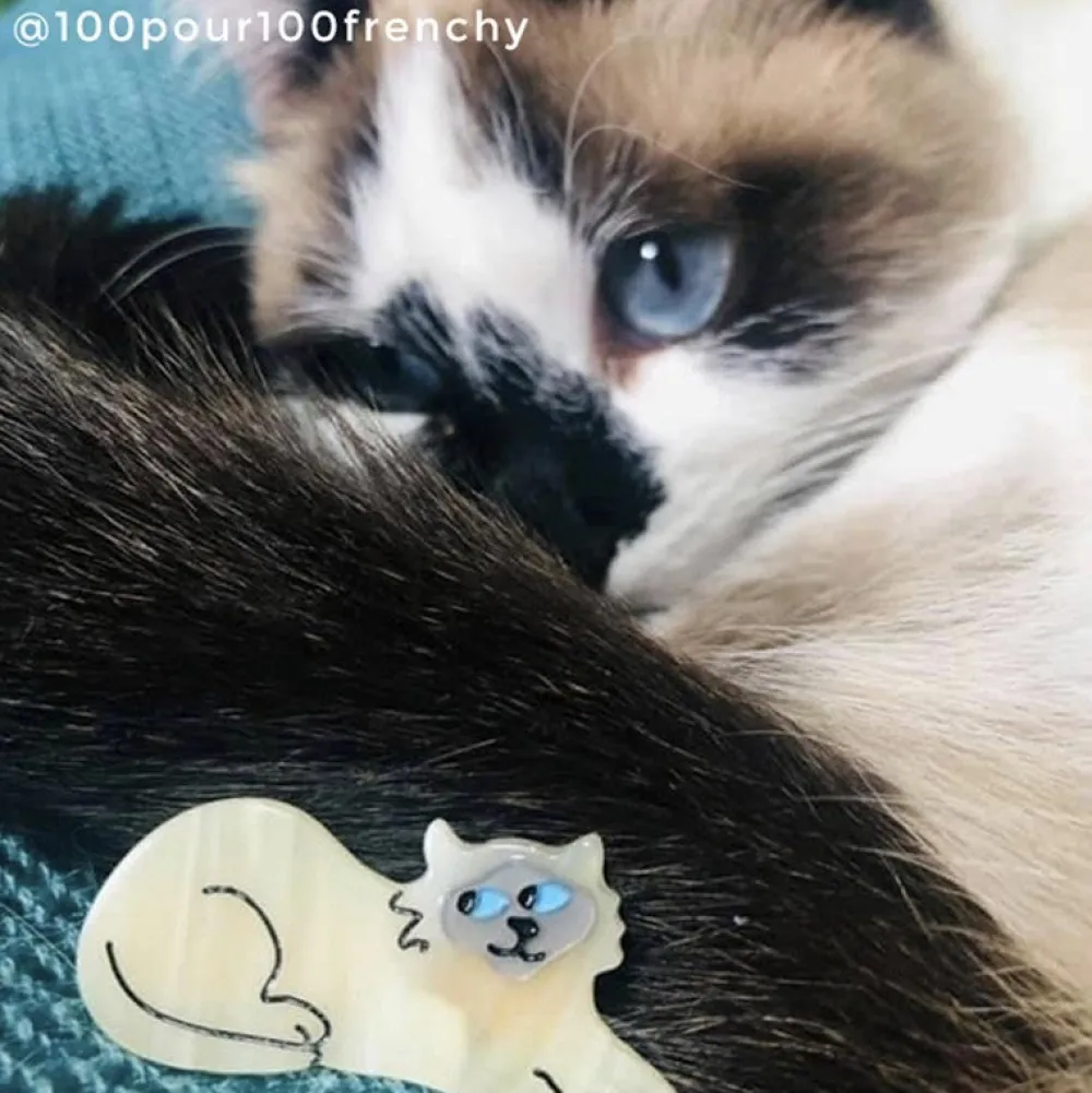 Best Barrette Chat Siamois Barrettes