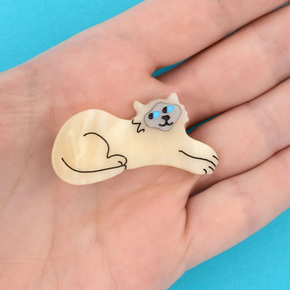 Best Barrette Chat Siamois Barrettes
