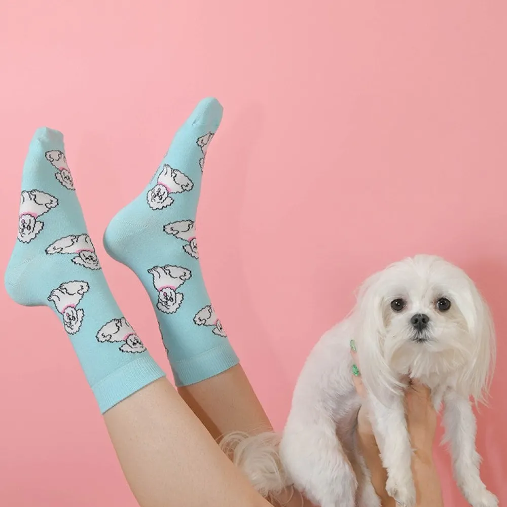 Online Chaussettes Bichon Chaussettes Coton
