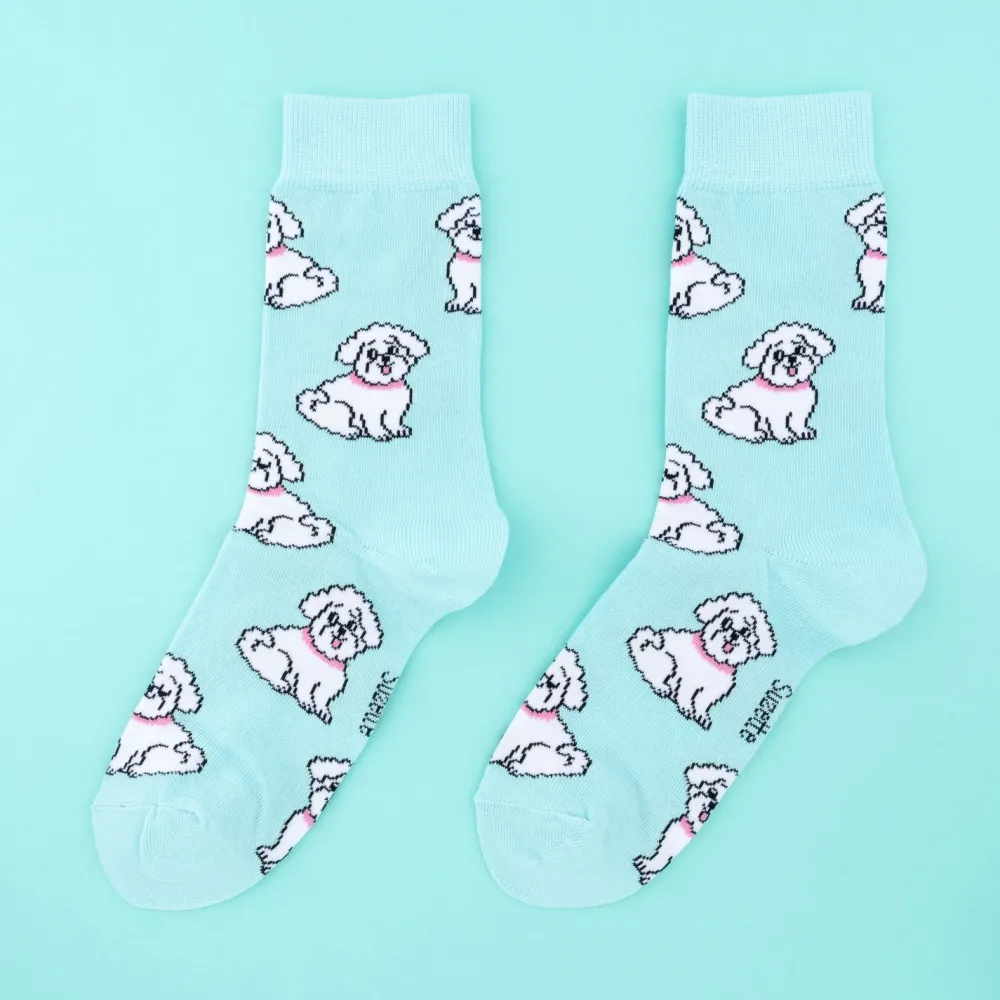 Online Chaussettes Bichon Chaussettes Coton