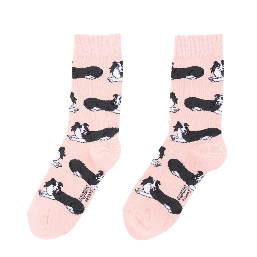 Cheap Chaussettes Border Collie Chaussettes Coton