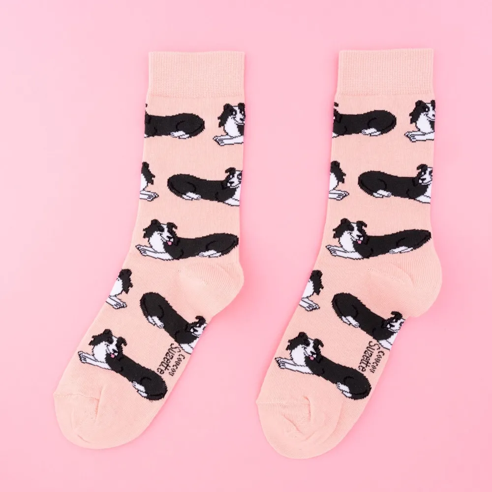 Cheap Chaussettes Border Collie Chaussettes Coton