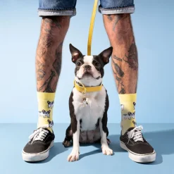 New Chaussettes Bouledogue Chaussettes Coton