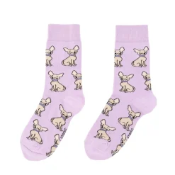 Fashion Chaussettes Chihuahua Chaussettes Coton