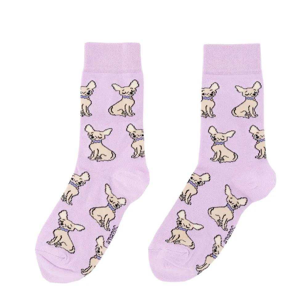 Fashion Chaussettes Chihuahua Chaussettes Coton