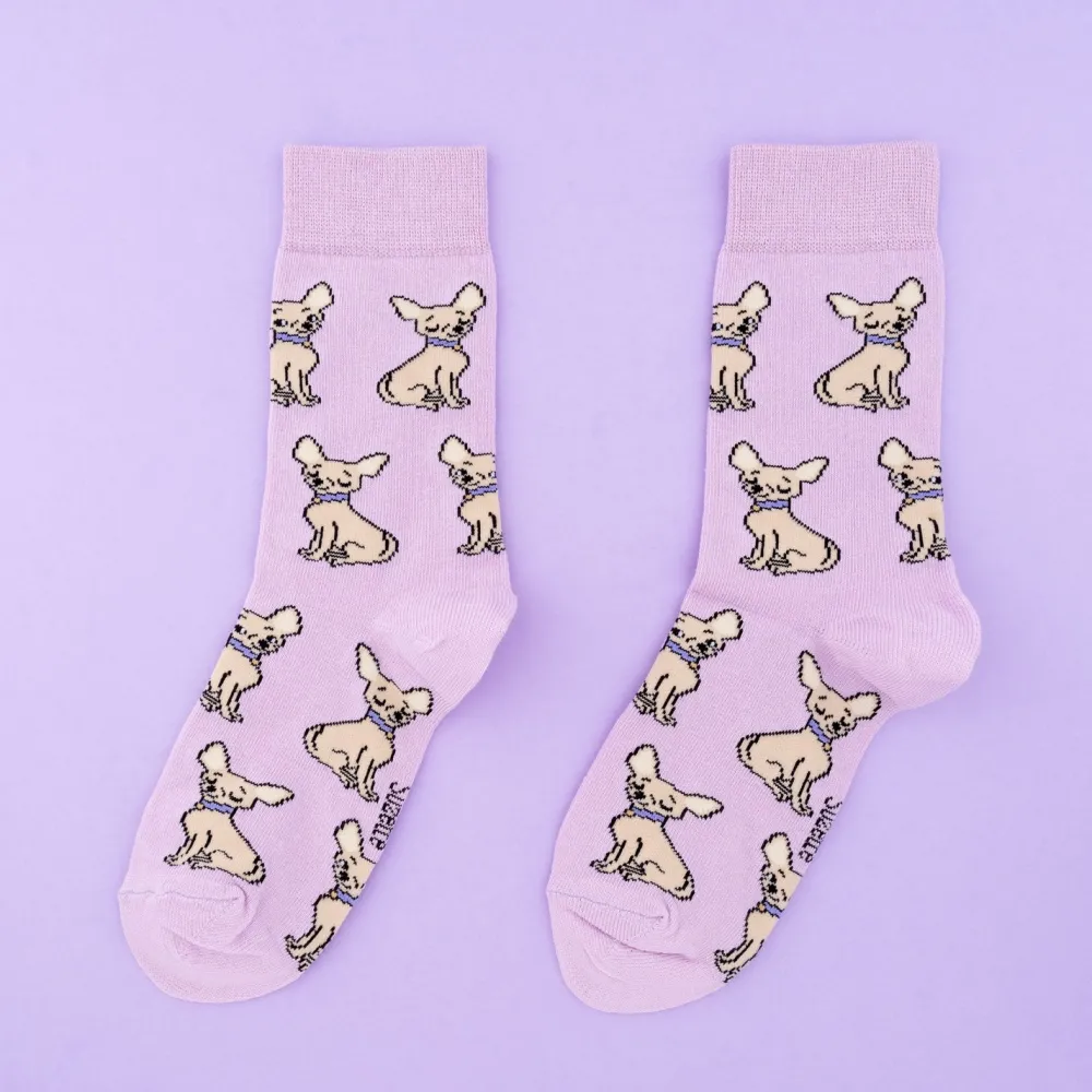 Fashion Chaussettes Chihuahua Chaussettes Coton