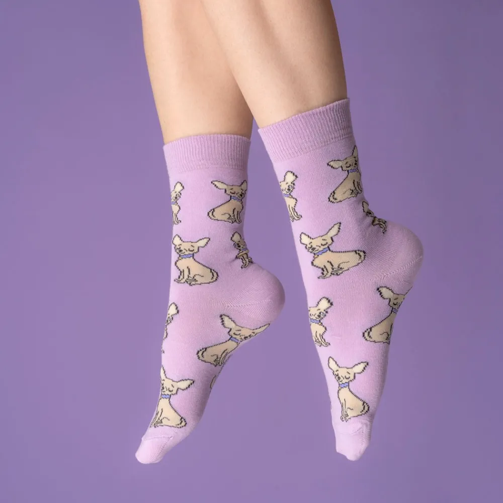 Fashion Chaussettes Chihuahua Chaussettes Coton