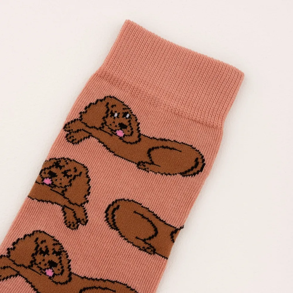 Fashion Chaussettes Cocker Chaussettes Coton