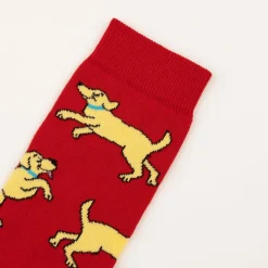 Best Chaussettes Golden Retriever Chaussettes Coton