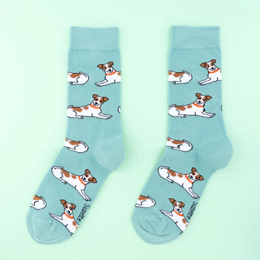 Shop Chaussettes Jack Russel Chaussettes Coton