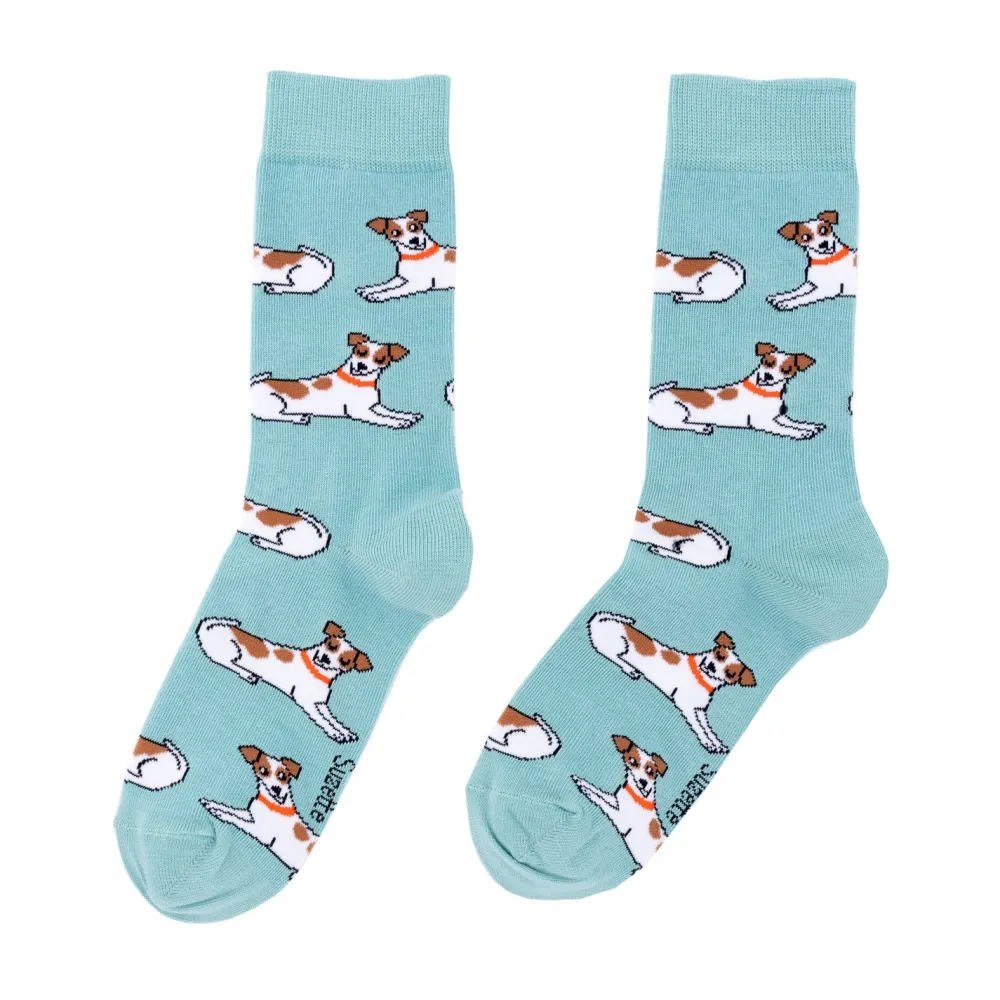 Shop Chaussettes Jack Russel Chaussettes Coton