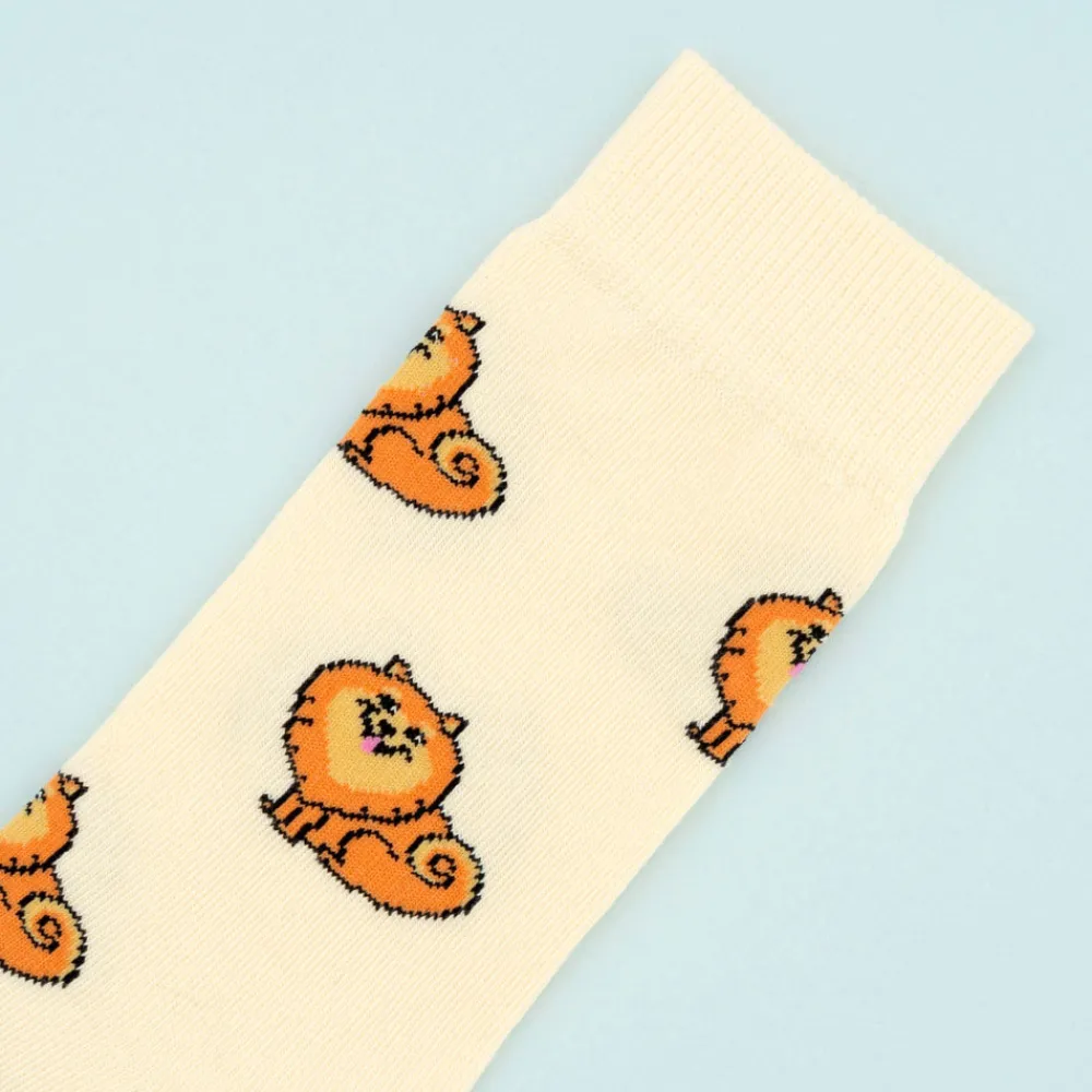 Store Chaussettes Spitz Chaussettes Coton