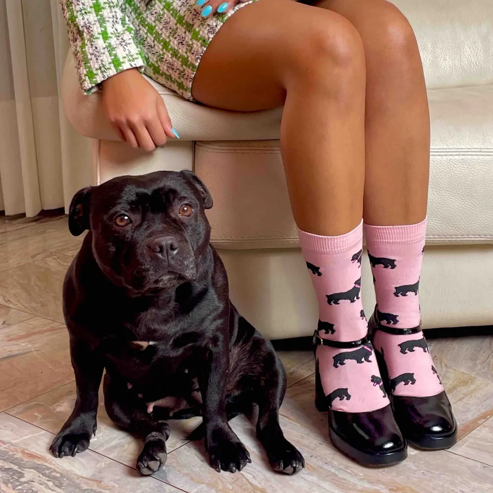 Discount Chaussettes Staffie Chaussettes Coton