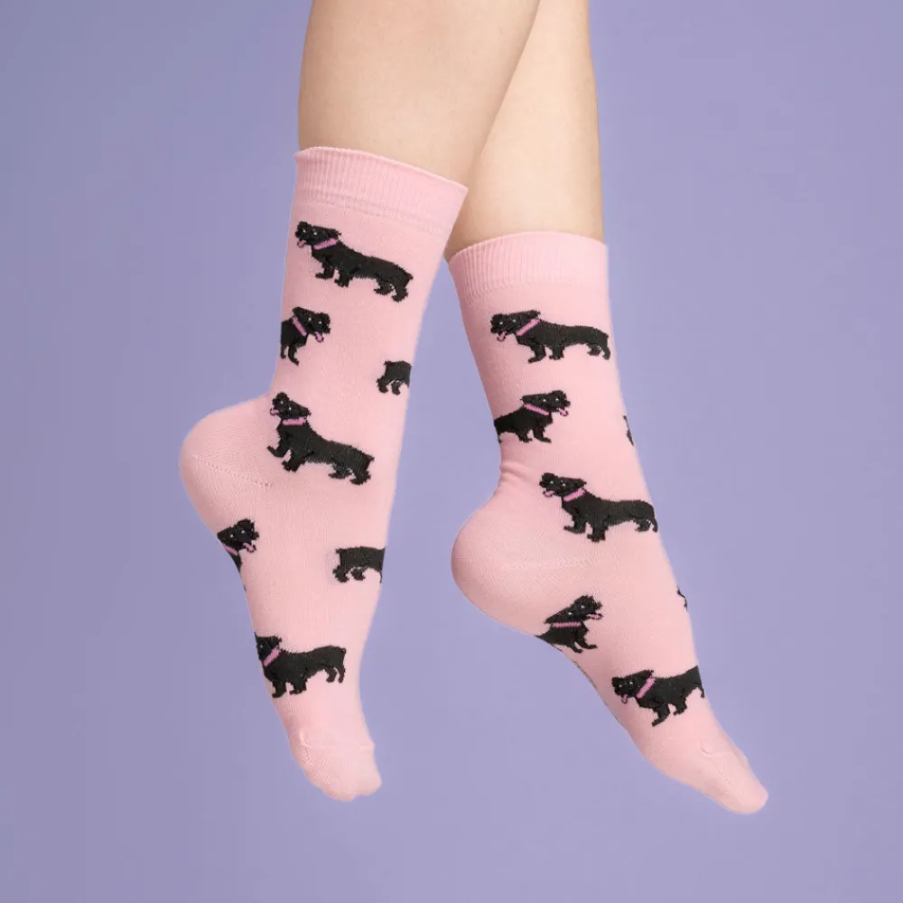 Discount Chaussettes Staffie Chaussettes Coton