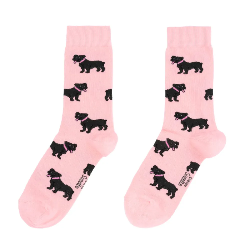 Discount Chaussettes Staffie Chaussettes Coton