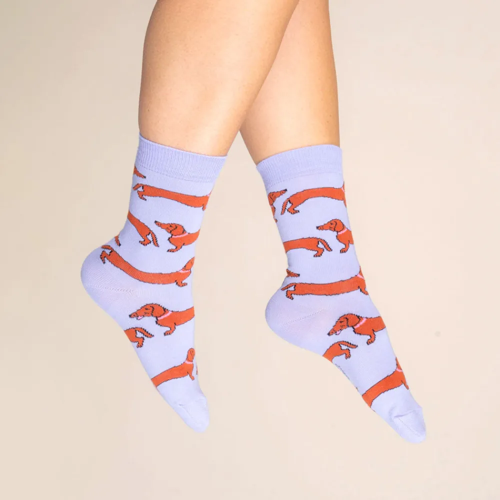 Cheap Chaussettes Teckel Chaussettes Coton