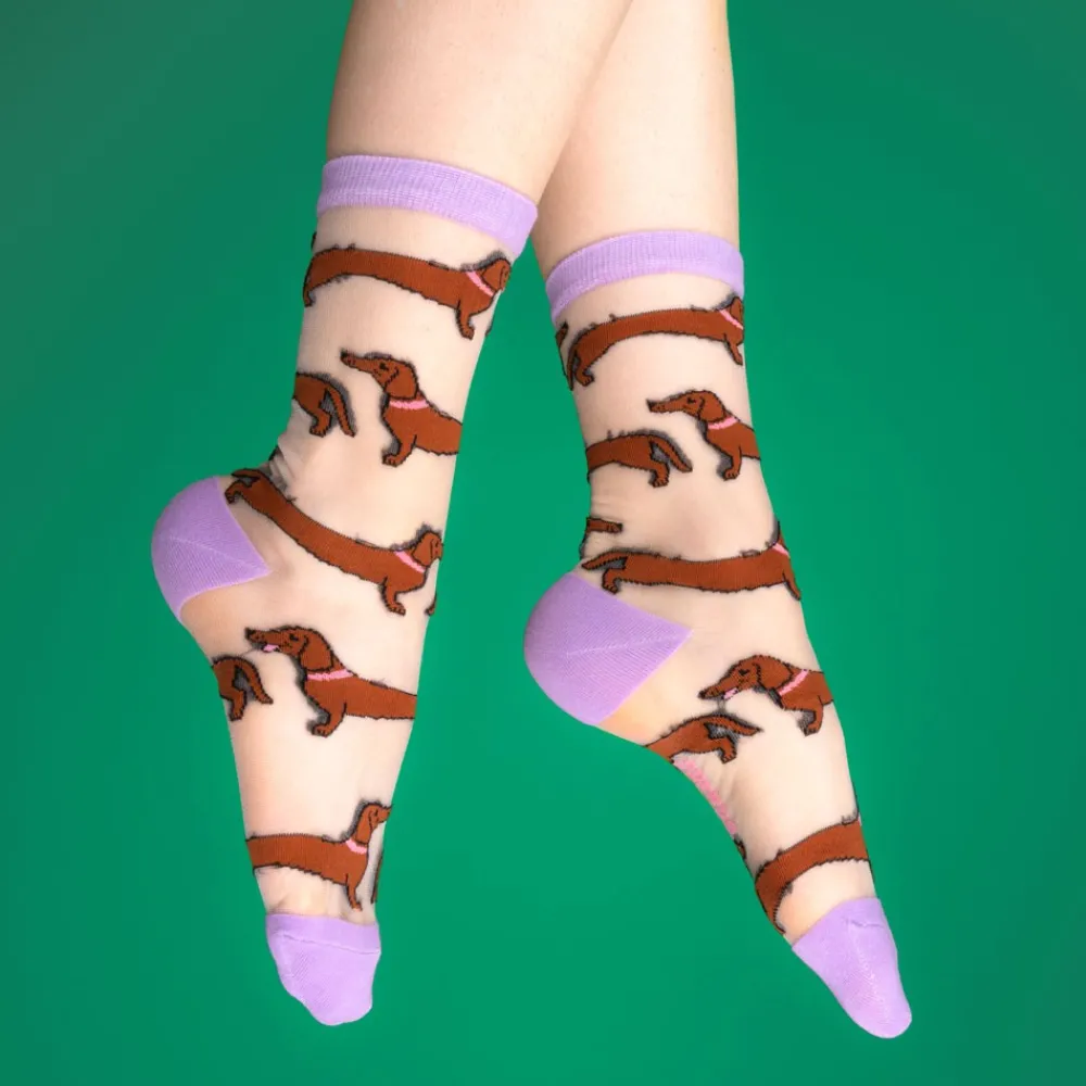Fashion Chaussettes transparentes Teckel Chaussettes Transparentes