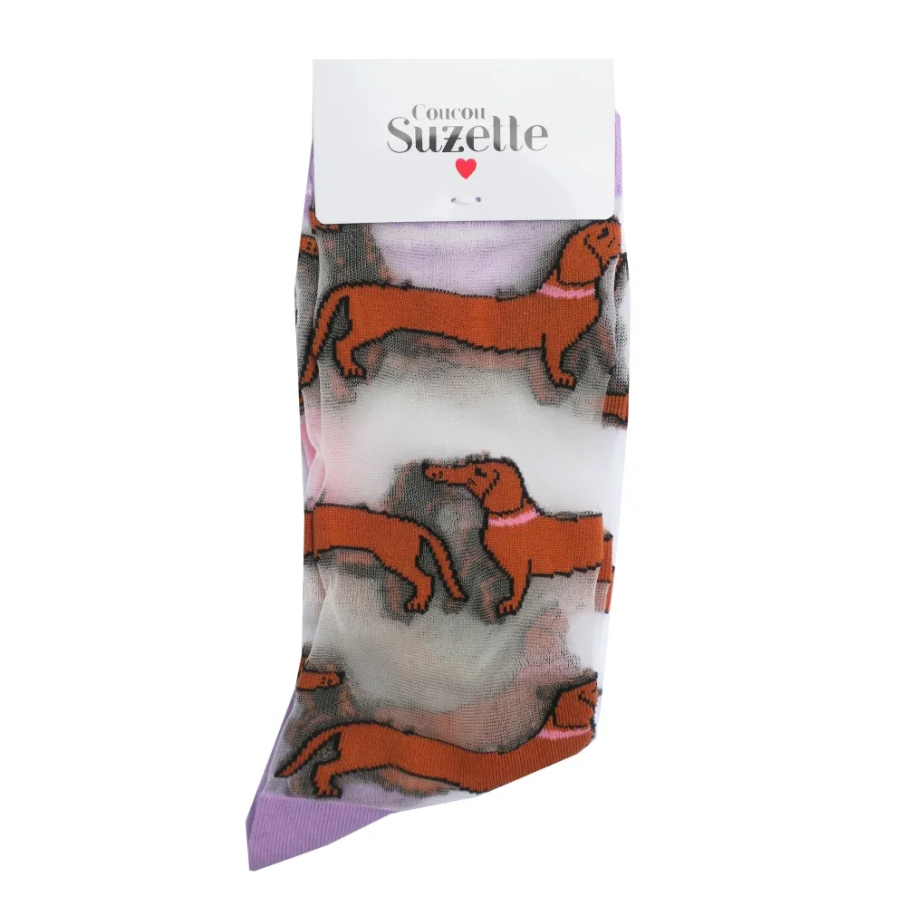 Fashion Chaussettes transparentes Teckel Chaussettes Transparentes