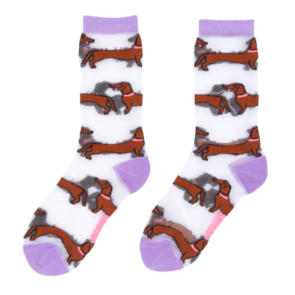 Fashion Chaussettes transparentes Teckel Chaussettes Transparentes