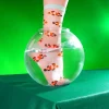 Flash Sale Chaussettes Transparentes Poisson Clown Chaussettes Transparentes