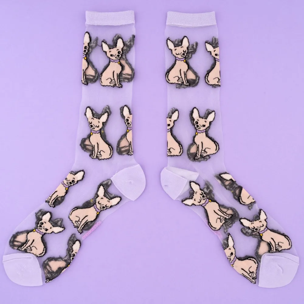 Flash Sale Chaussettes transparentes Chihuahua Chaussettes Transparentes