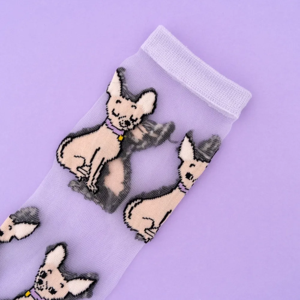 Flash Sale Chaussettes transparentes Chihuahua Chaussettes Transparentes