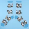Shop Chaussettes transparentes Berger Australien Chaussettes Transparentes