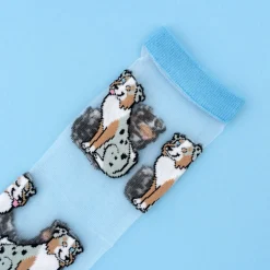 Shop Chaussettes transparentes Berger Australien Chaussettes Transparentes