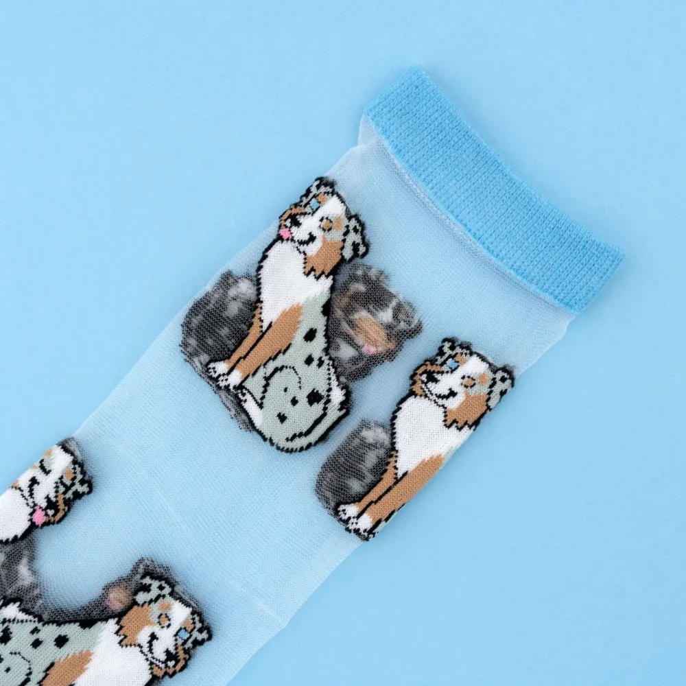 Shop Chaussettes transparentes Berger Australien Chaussettes Transparentes