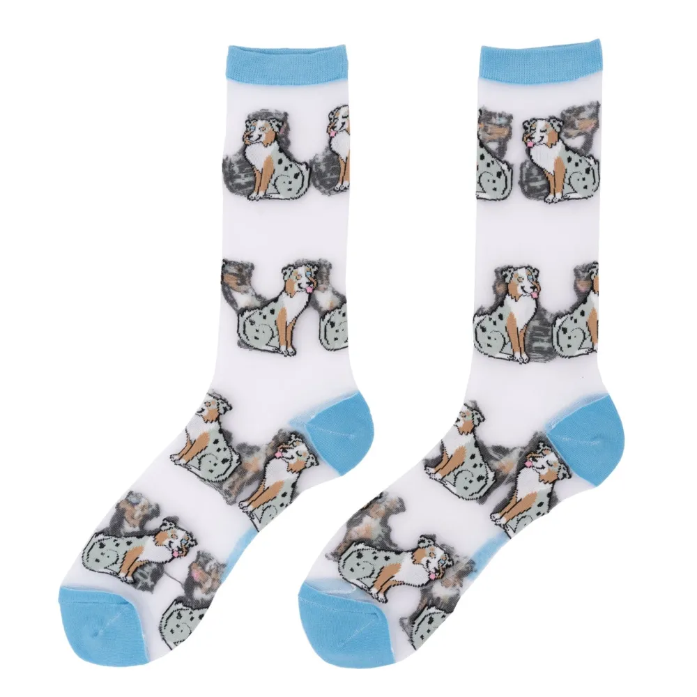 Shop Chaussettes transparentes Berger Australien Chaussettes Transparentes
