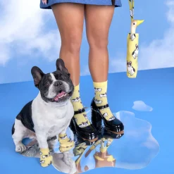 Cheap Parapluie Bouledogue Parapluies