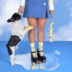 Cheap Parapluie Bouledogue Parapluies