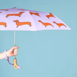 Best Sale Parapluie Teckel Parapluies