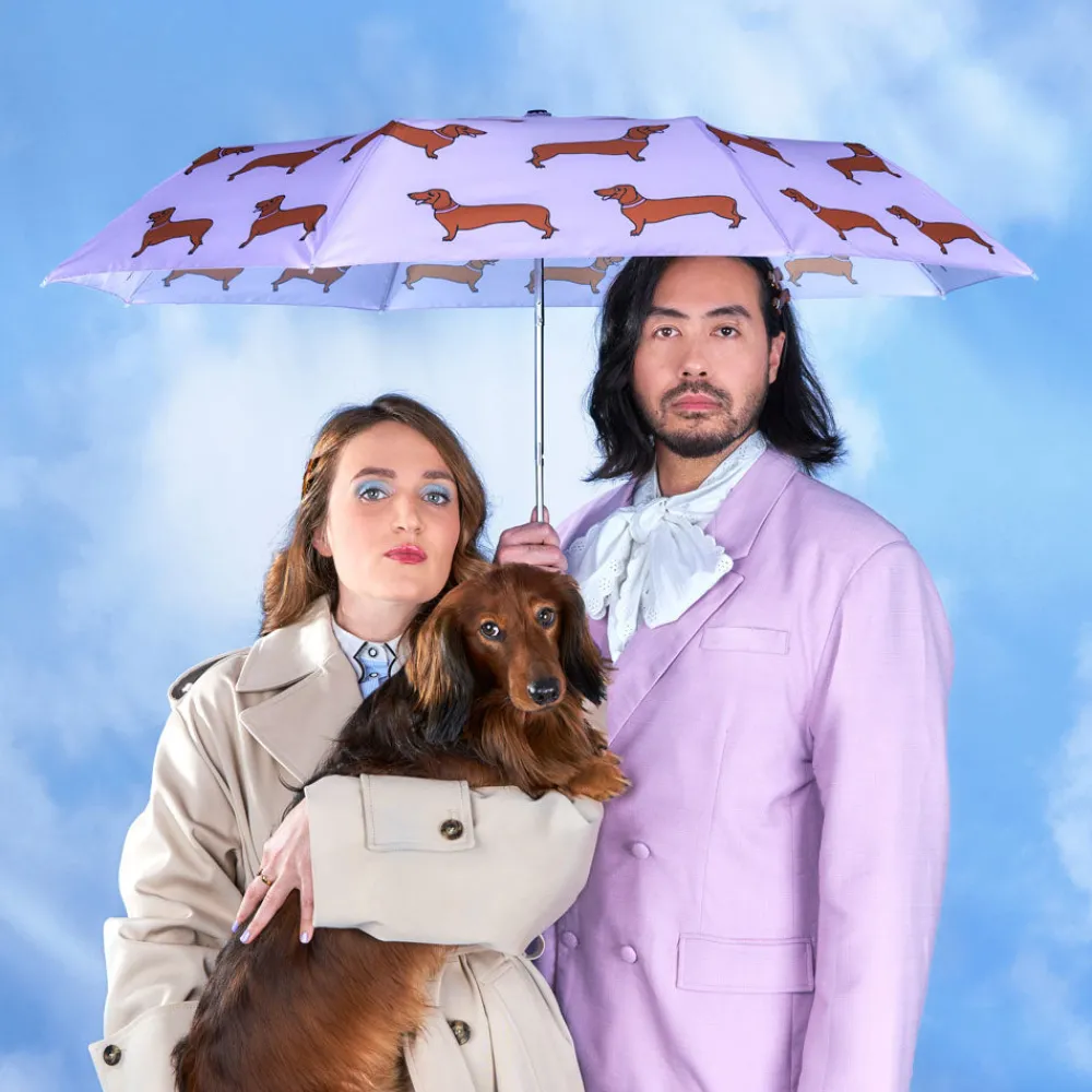 Best Sale Parapluie Teckel Parapluies