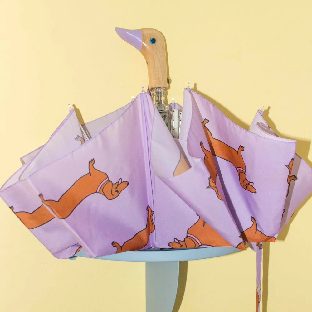Best Sale Parapluie Teckel Parapluies