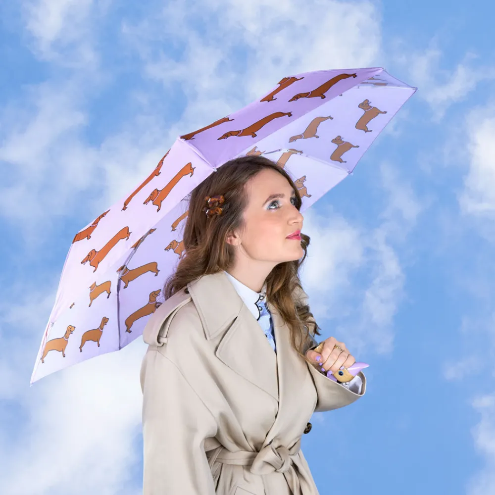 Best Sale Parapluie Teckel Parapluies