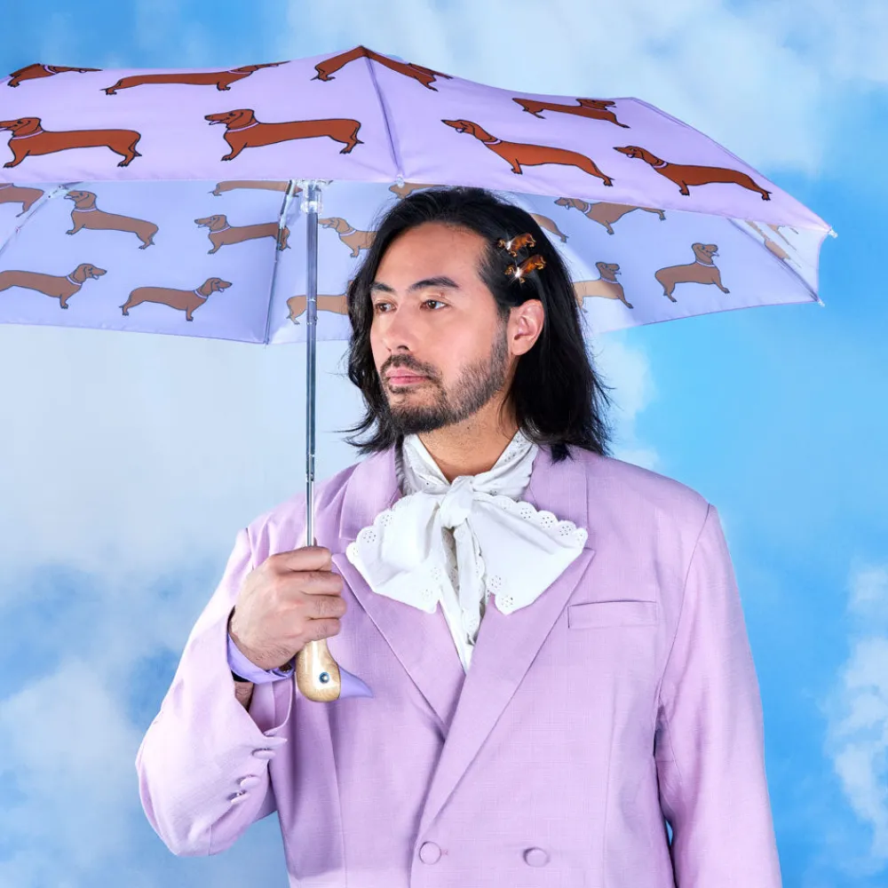 Best Sale Parapluie Teckel Parapluies