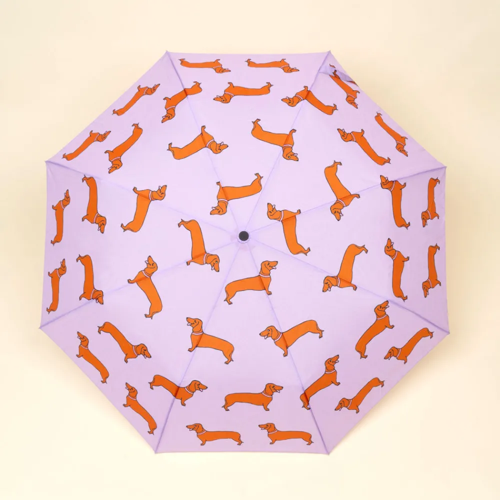 Best Sale Parapluie Teckel Parapluies