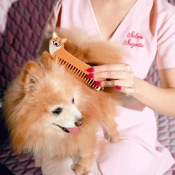 Flash Sale Peigne Corgi Peignes