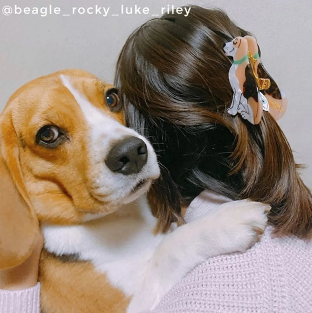 Best Sale Pince à cheveux Beagle Pinces À Cheveux