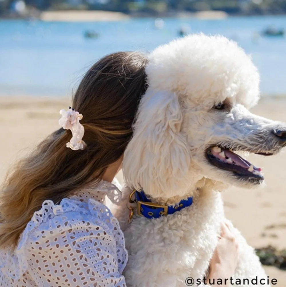 Best Sale Pince à cheveux Caniche Pinces À Cheveux
