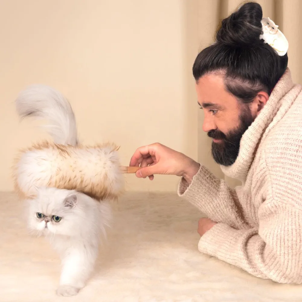 Sale Pince à cheveux Chat Persan Pinces À Cheveux
