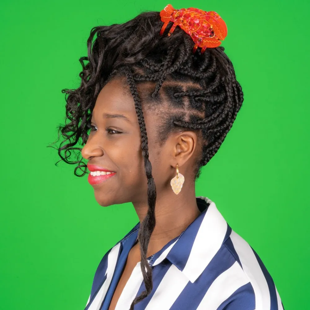 Online Pince à cheveux Homard Grandes Pinces À Cheveux|Pinces À Cheveux