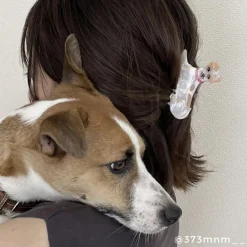 Best Sale Pince à cheveux Jack Russel Pinces À Cheveux