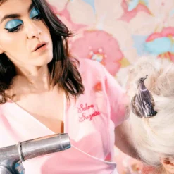 Flash Sale Pince à cheveux Lévrier Pinces À Cheveux