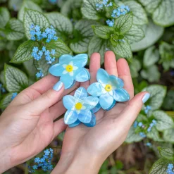 Outlet Pince à cheveux Myosotis Pinces À Cheveux