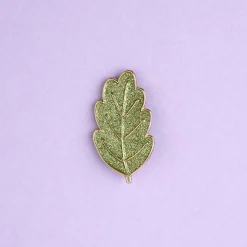 Discount Pin's Feuille Pin's
